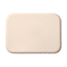 On Lee noodle shop (cambro) food tray