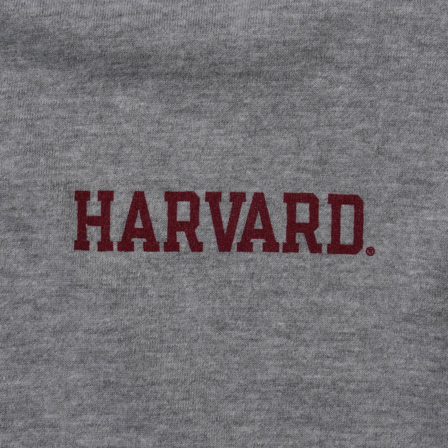 HARVARD T-SHIRT (GREY)