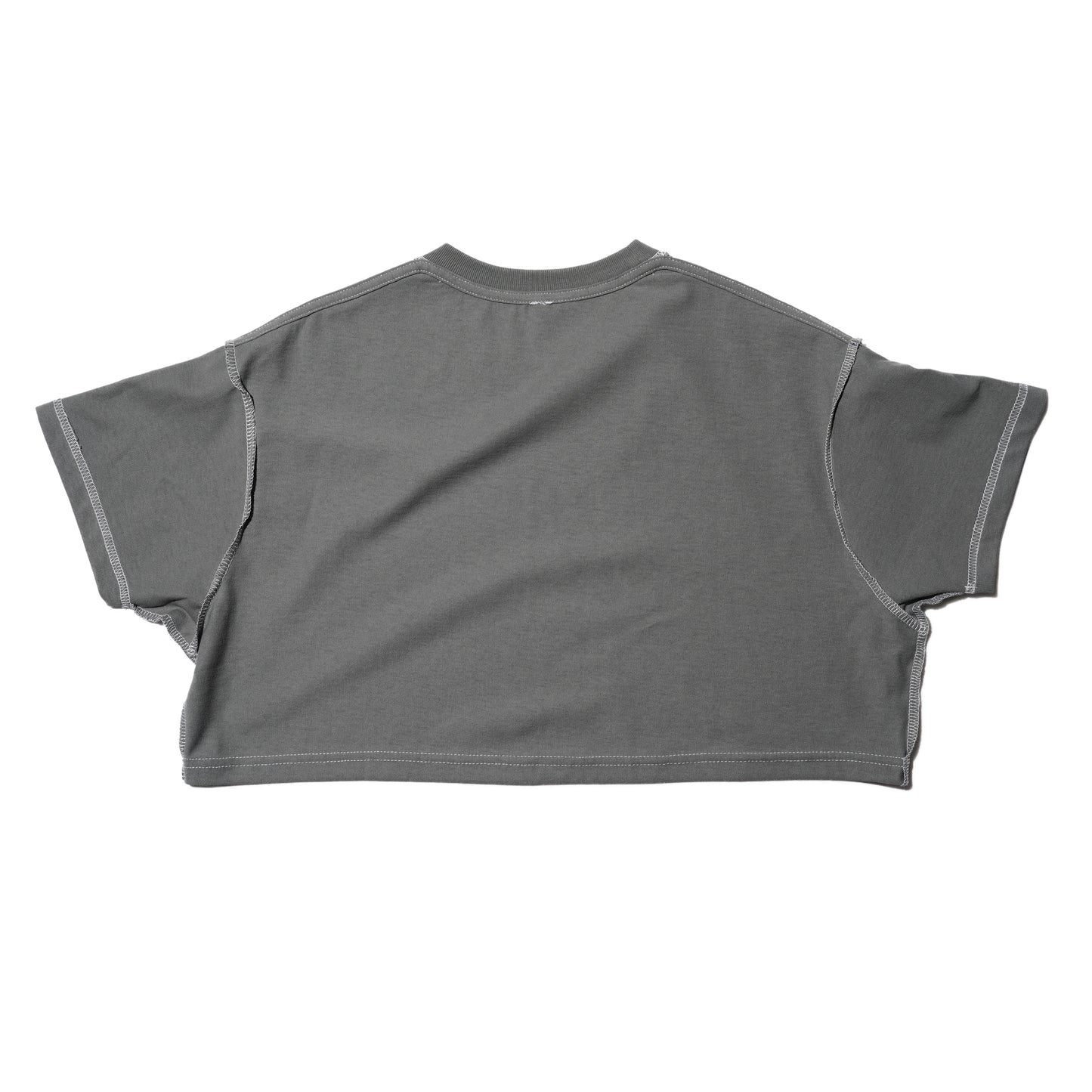 ZISE 010 CROPPED T-SHIRT (GREY)