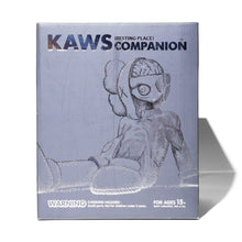 KAWS Resting Place Companion